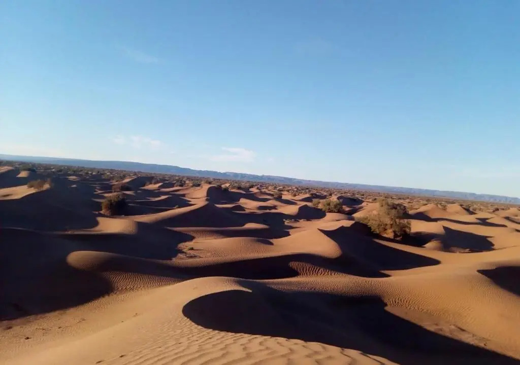 Desert Eyes