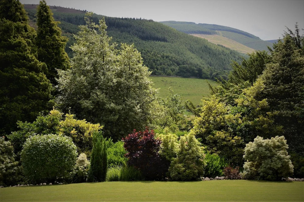 Windlestraw