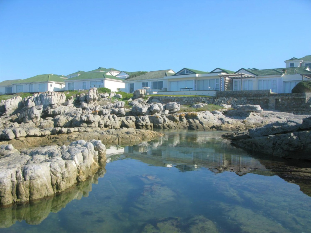 Hermanus Whale View