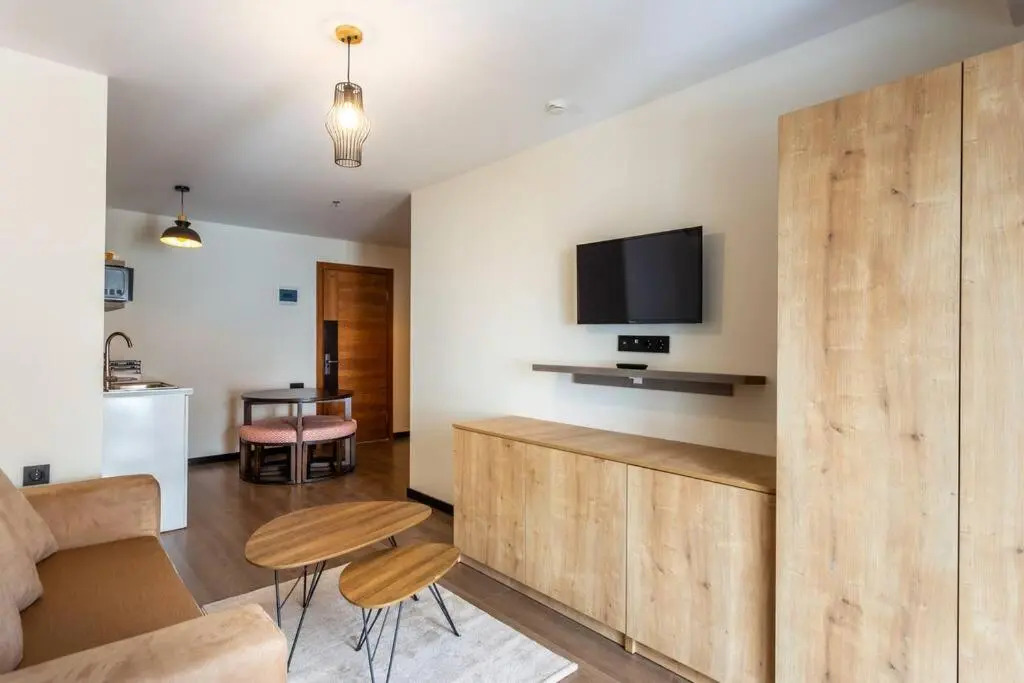 Bright and Cozy 1BR Apartment In Marshall Gudauri Project