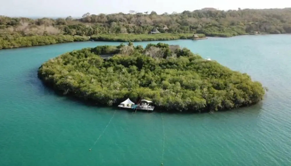 Isla Madre Selva