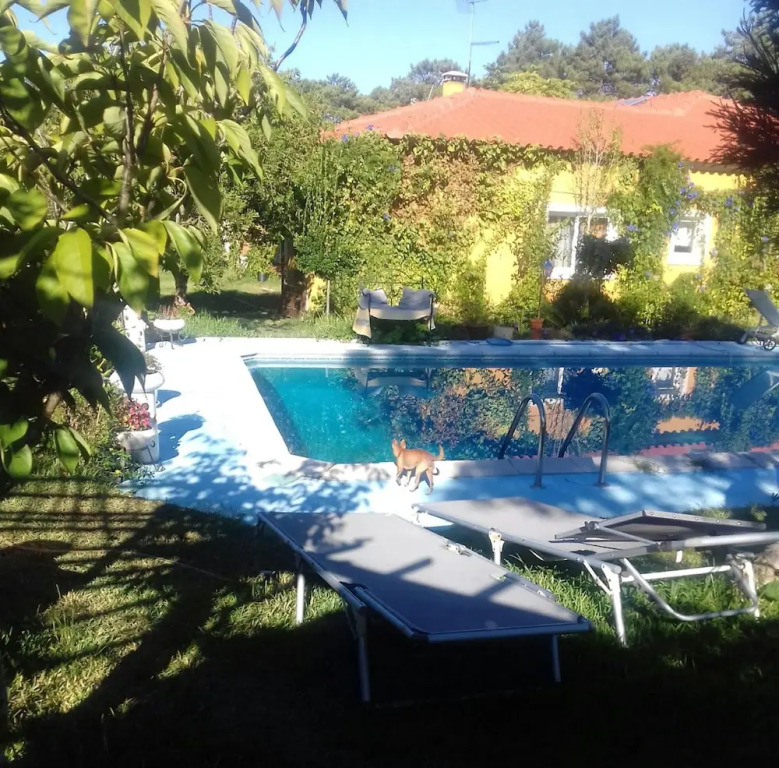 Studio in Nazaré, With Pool Access, Furnished Garden and Wifi - 7 km F