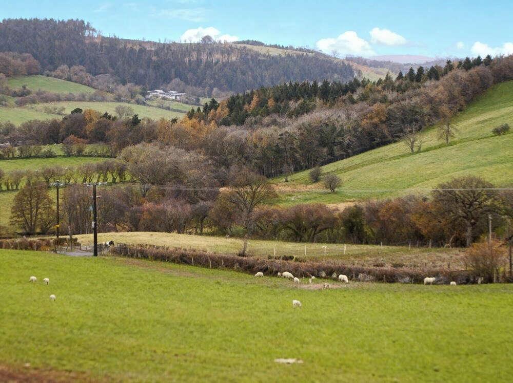 Tyn Y Celyn Canol
