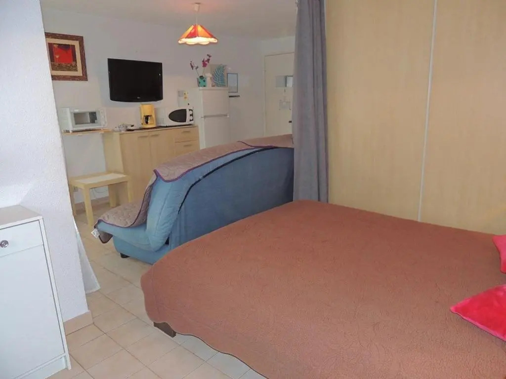 Appartement Balaruc-les-Bains, 1 pièce, 2 personnes - FR-1-571-33