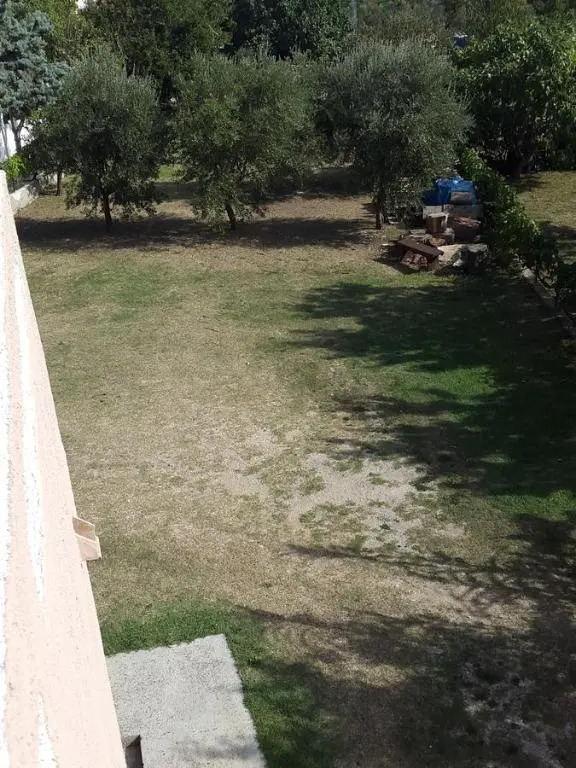 Apartments Katarina