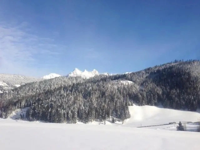 Gut Maierlehen