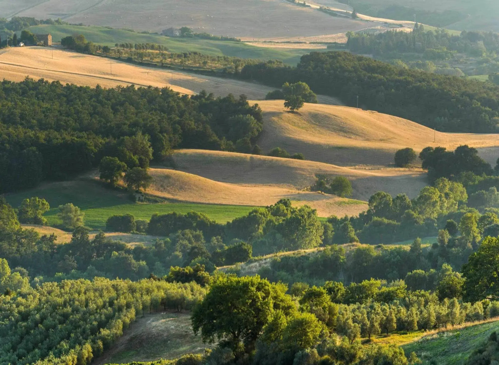 Locanda di CasalMustia