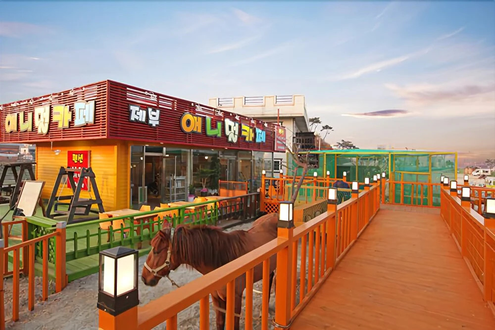 Jebudo Animal Café and Pension