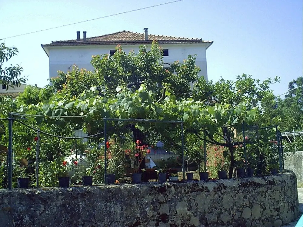 Apartment With 3 Bedrooms in Ceraso, With Wonderful Mountain View, Enclosed Garden and Wifi Near the Beach