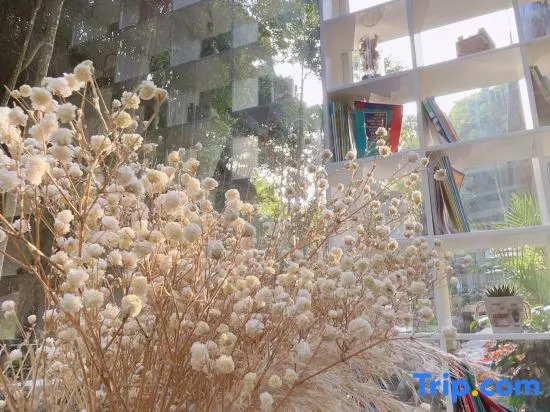 Nankunshan yunshu Wild Luxury Hotel