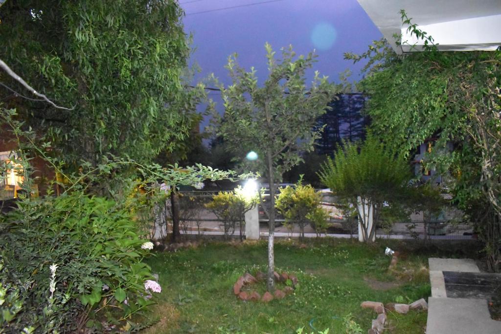 Hadimba Way Manali - Best Family Hotel
