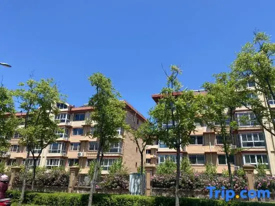 Summer ・ Light boutique homestay