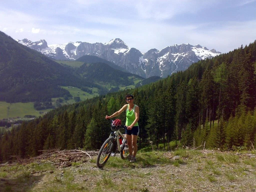 Haus Dachstein Schnitzer