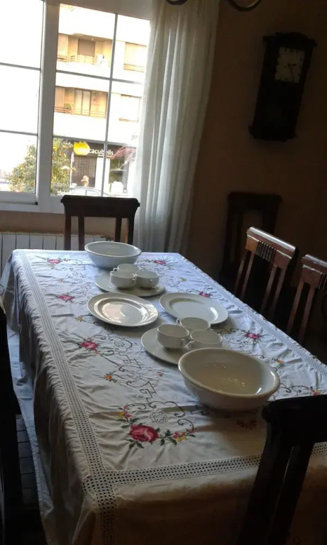 Quiet Single Room in Valencia, With Large Terrace for Pets