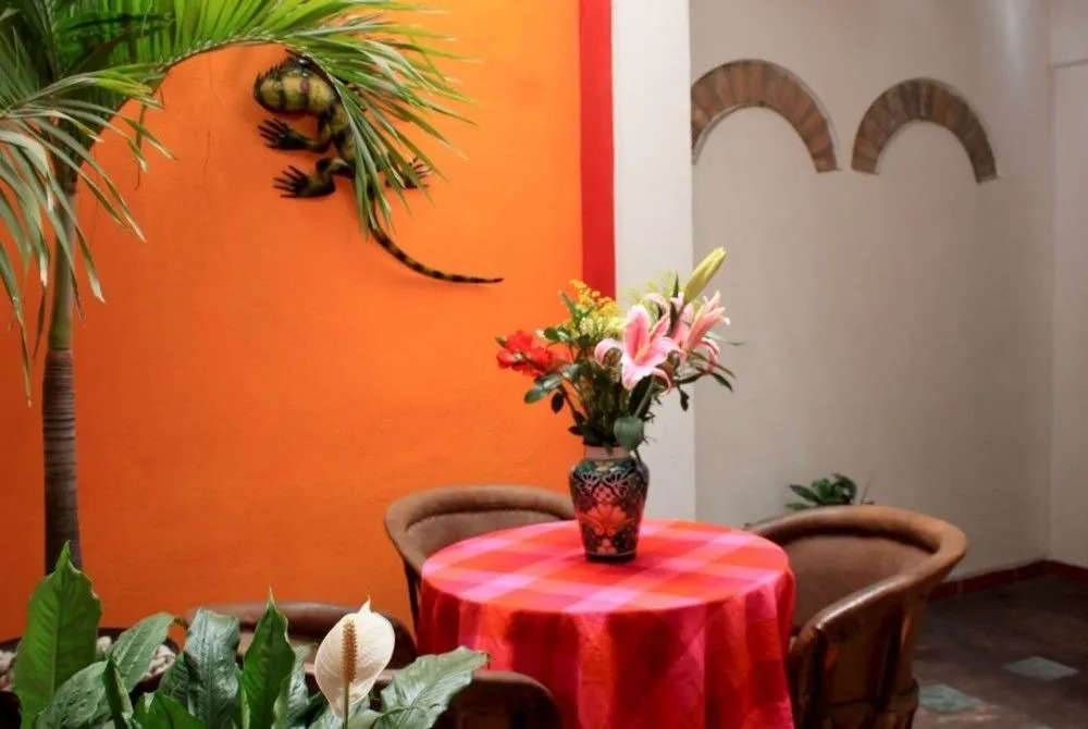 La Iguana Vallarta LGBT ADULTS ONLY - Romantic Zone - Party Clubbing Street