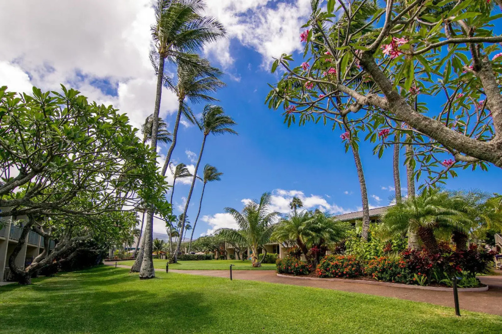 Napili Shores Maui by OUTRIGGER - No Resort & Housekeeping Fees
