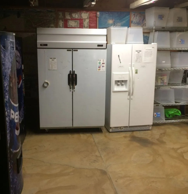 The Hostel