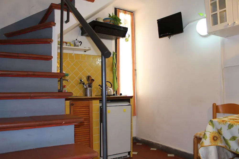 Zmax Zanobi Studios