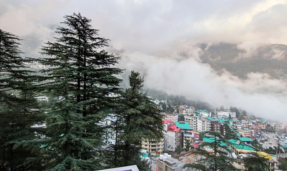 Treebo Trend Agnivesh Ayush Wellness Centre