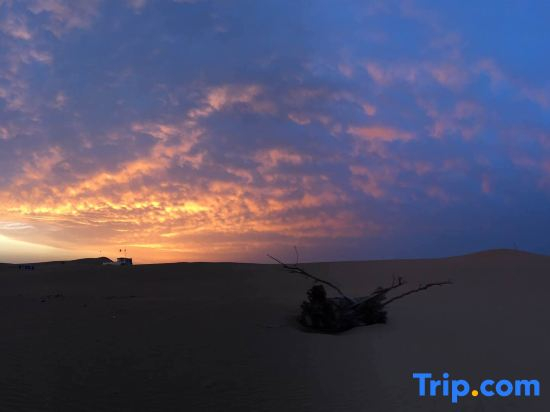 Shapotou Xingyue international camping base