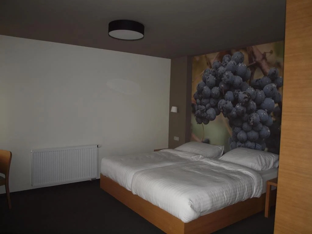 Hotel Lidový dům