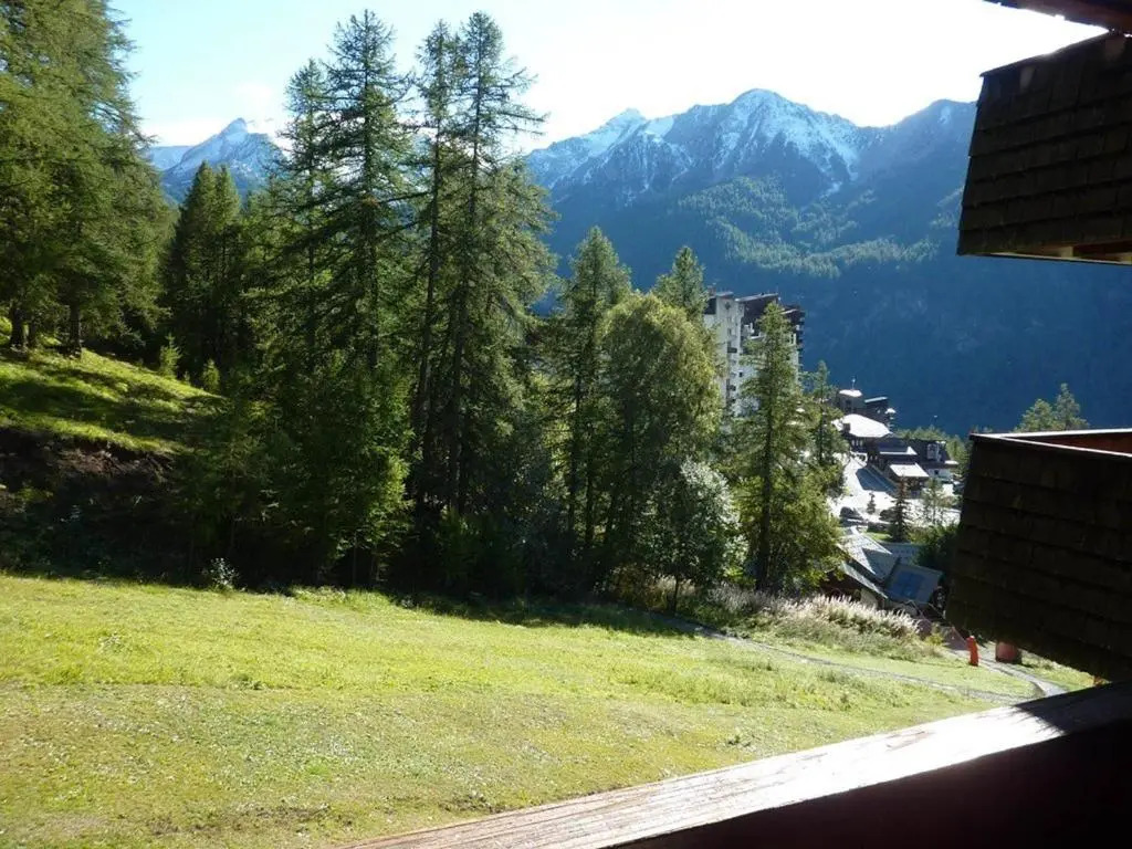 Appartement Les Orres, 1 pièce, 4 personnes - FR-1-322-190