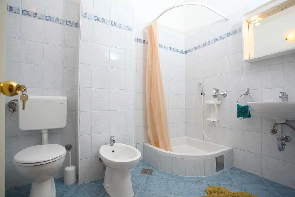 Apartment Mileta