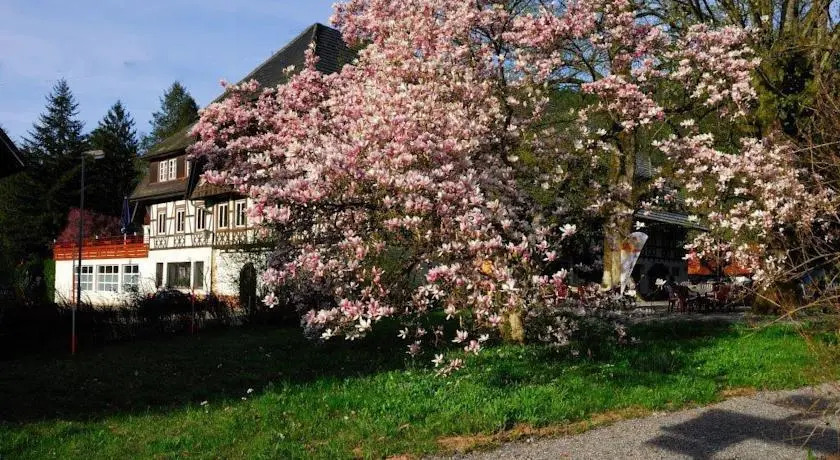 Schwarzwald-Gasthof Hotel Linde