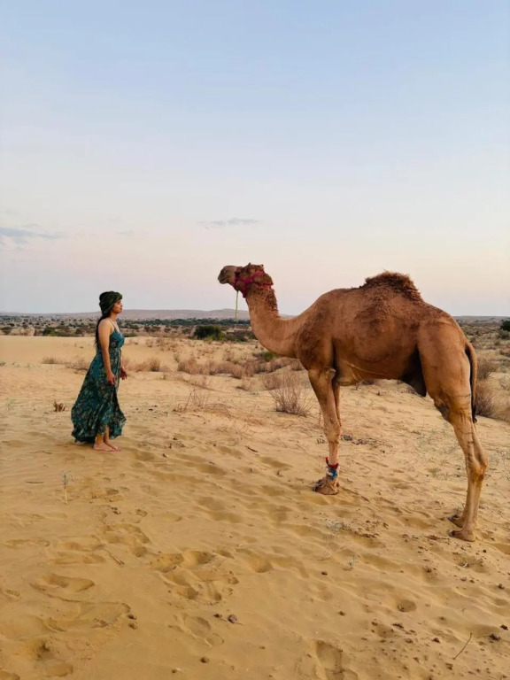 Crazy Camel Hotel & Safari