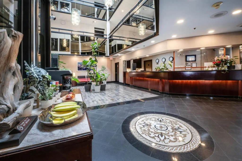 Hotel International