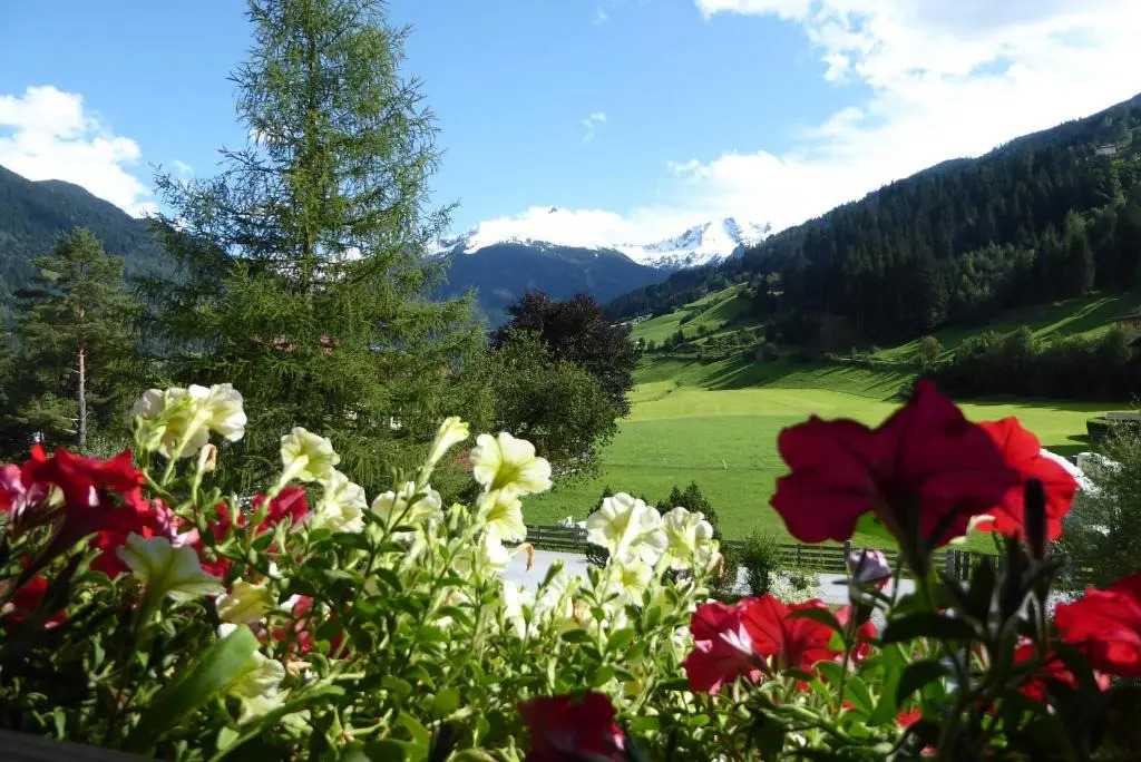 ZITTRAUERHOF - Urlaub am Bauernhof Gastein