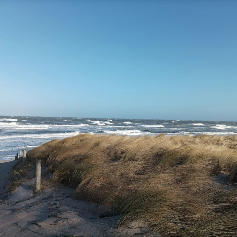 Hotel Schlösschen Sundische Wiese Zingst
