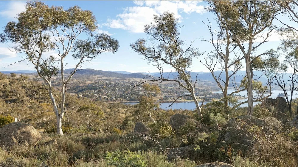Peak View House