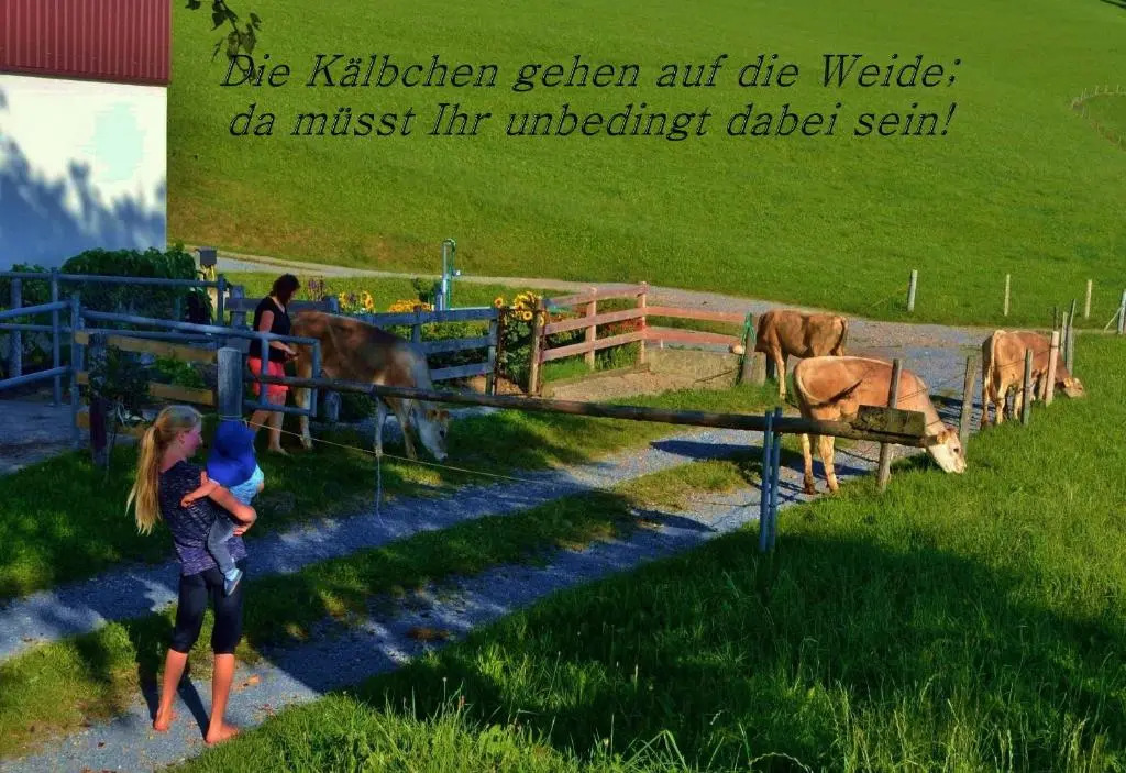 Mühlenhof