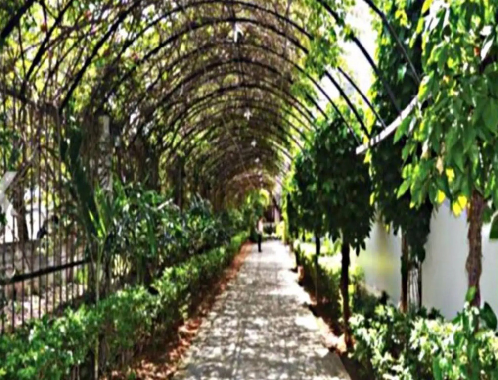 Nha Viet Hotel