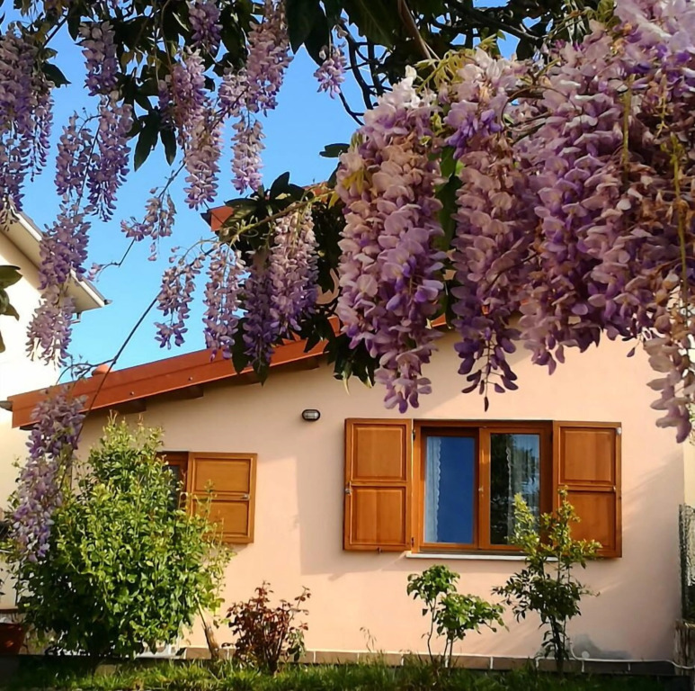 B&B1913