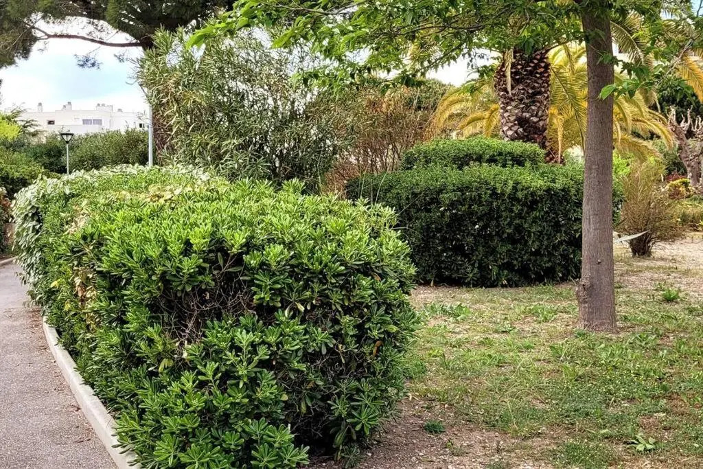 Comme a la Maison!!A 5 Min a Pied Plage,Pkg Prive