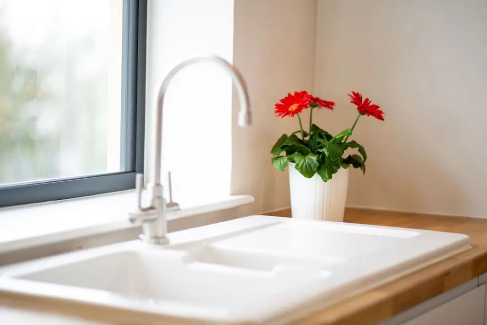 Ebury Place Your Apartment