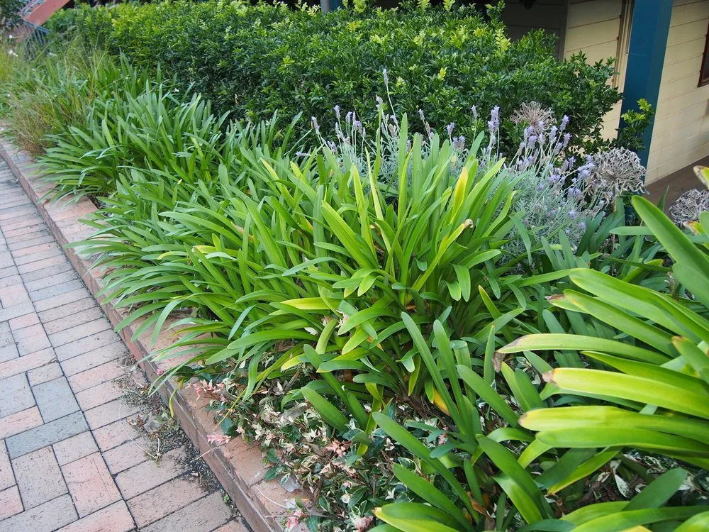 Bellevue Boutique Hotel Kiama