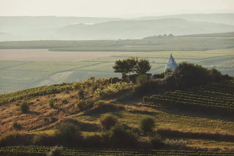 MEYERHOF - Bioweingut, Vinothek & Gästehaus