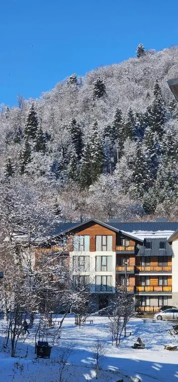 Eco-Friendly studio near Didveli