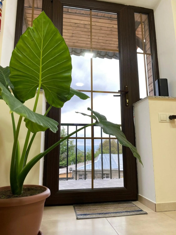 NOY Guest House B&B