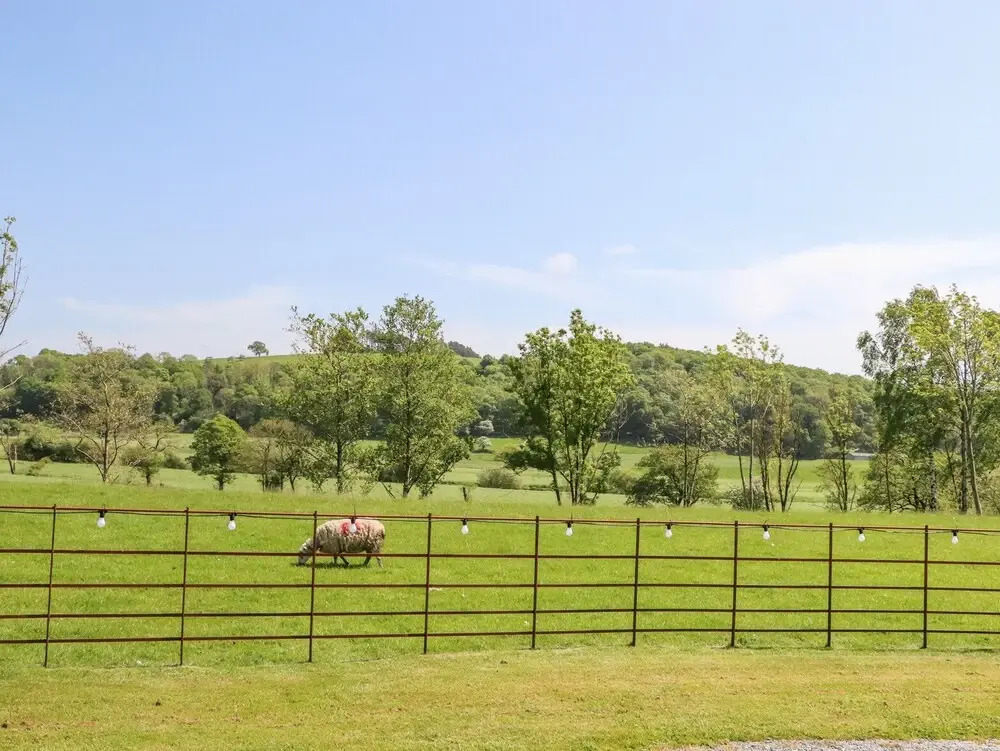 Skirden View