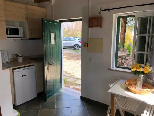 Apartamentos Cardo