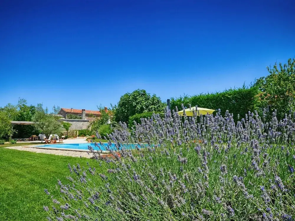 Villa Benka With View
