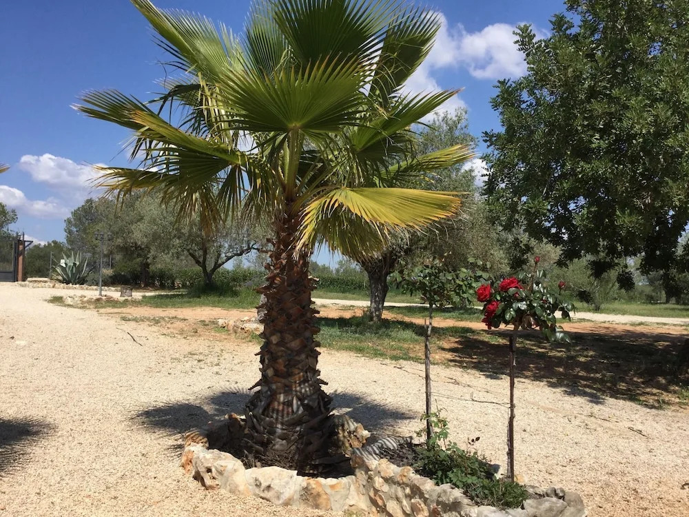 Child-friendly and Pet-friendly Villa in Chella With Private Swimming Pool