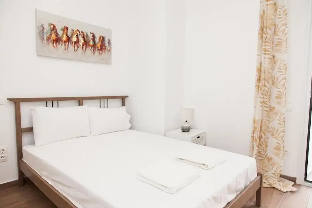 Gorgeous Apartment in Athens GTD8280-02