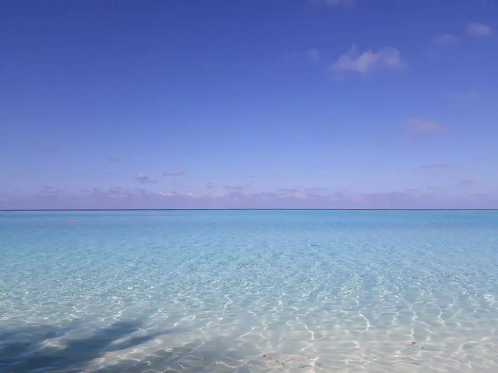 Dacha Thoddoo White Sand