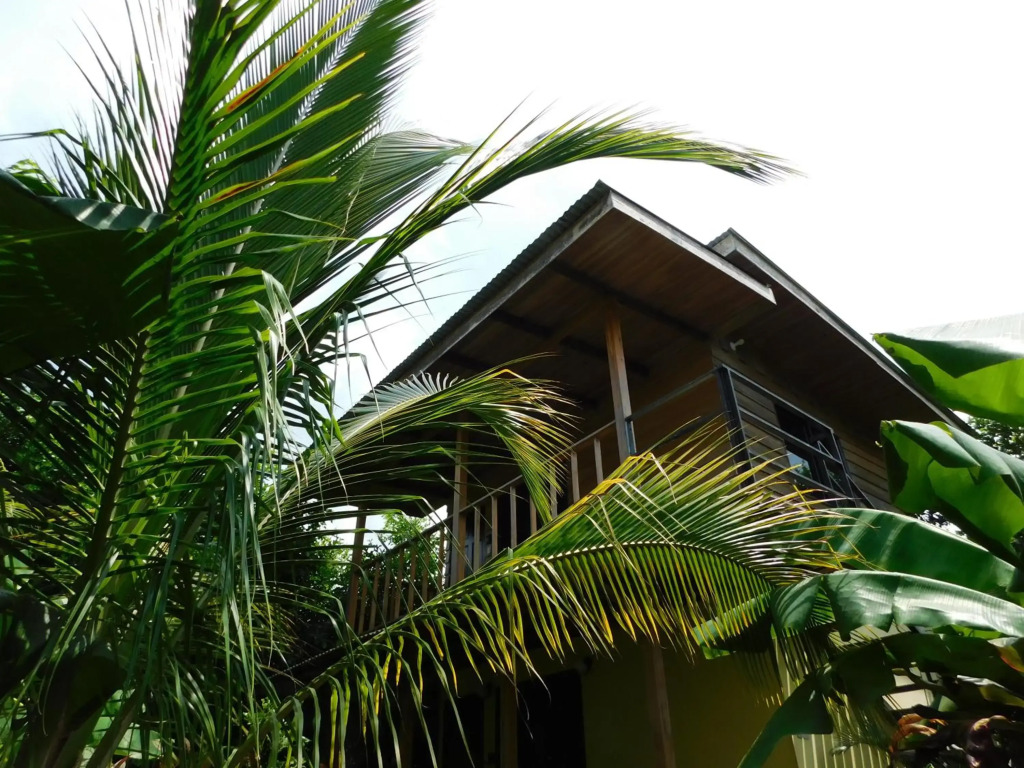 Nyusu Nosara