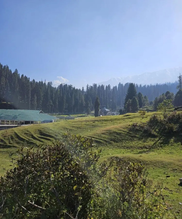 Gulmarg Woods by Stay Pattern